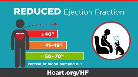 lvef|ejection fraction heart failure chart.